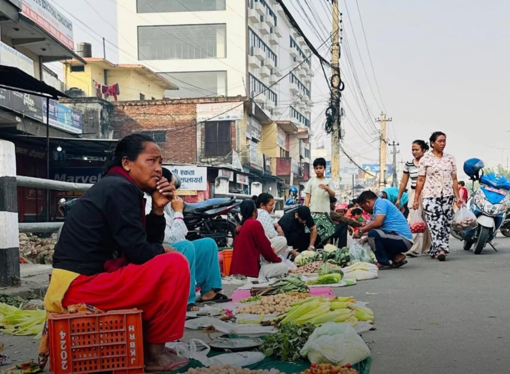भारतीय आयात रोकिँदा नेपालगञ्जमा स्थानीय अर्गानिक तरकारीको माग बढ्यो